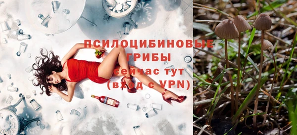 кокаин премиум Алексеевка