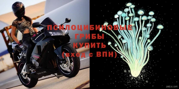 apvp Алексин