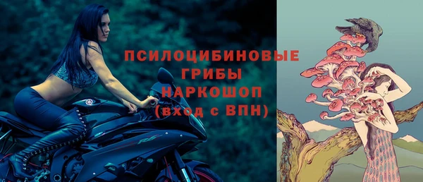 apvp Алексин