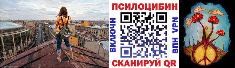Галлюциногенные грибы ЛСД  купить   Гаджиево 